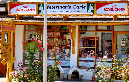 Veterinaria Carle